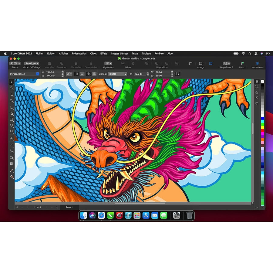 CorelDRAW Graphics Suite 2021 - Full Version, Perpetual