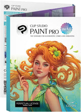 Clip Studio Paint Pro Version 4 - Perpetual License for Windows and macOS