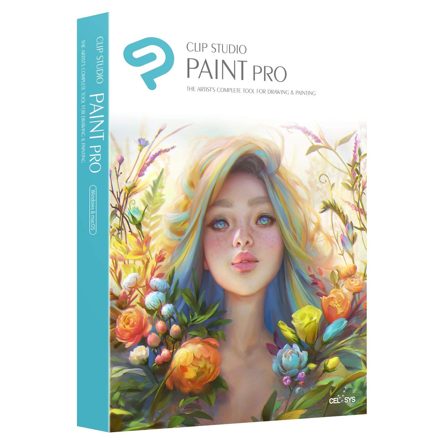 Clip Studio Paint Pro Version 1 - Perpetual