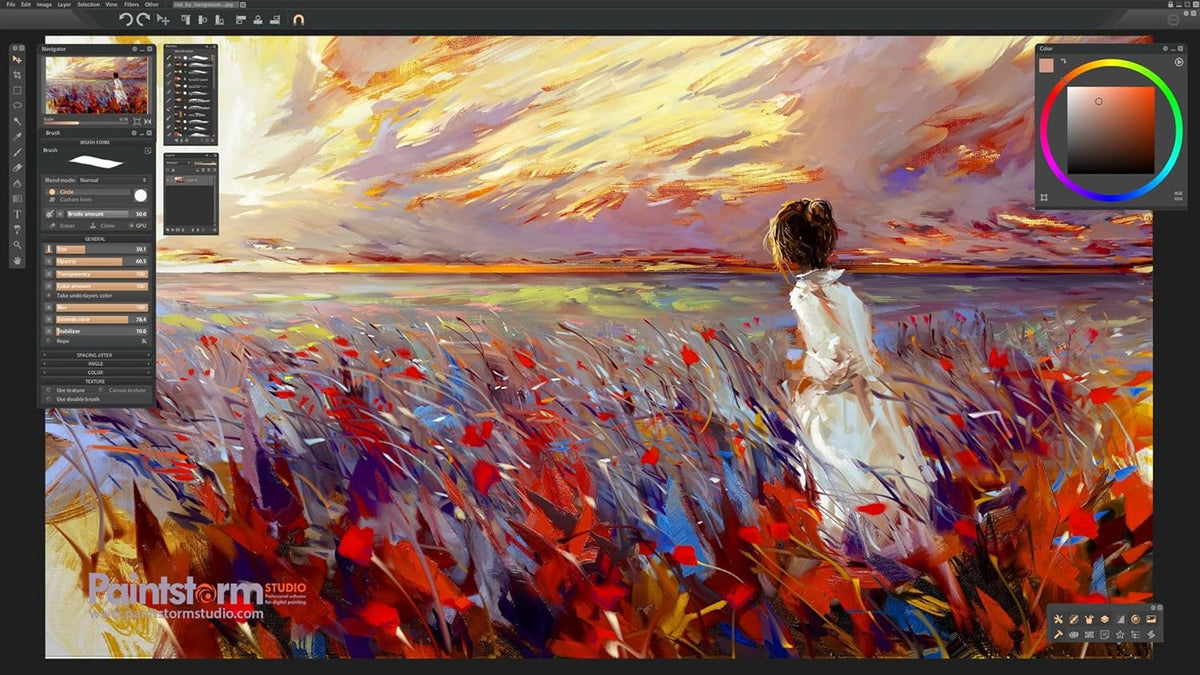 Paintstorm Studio - Digital Painting Software